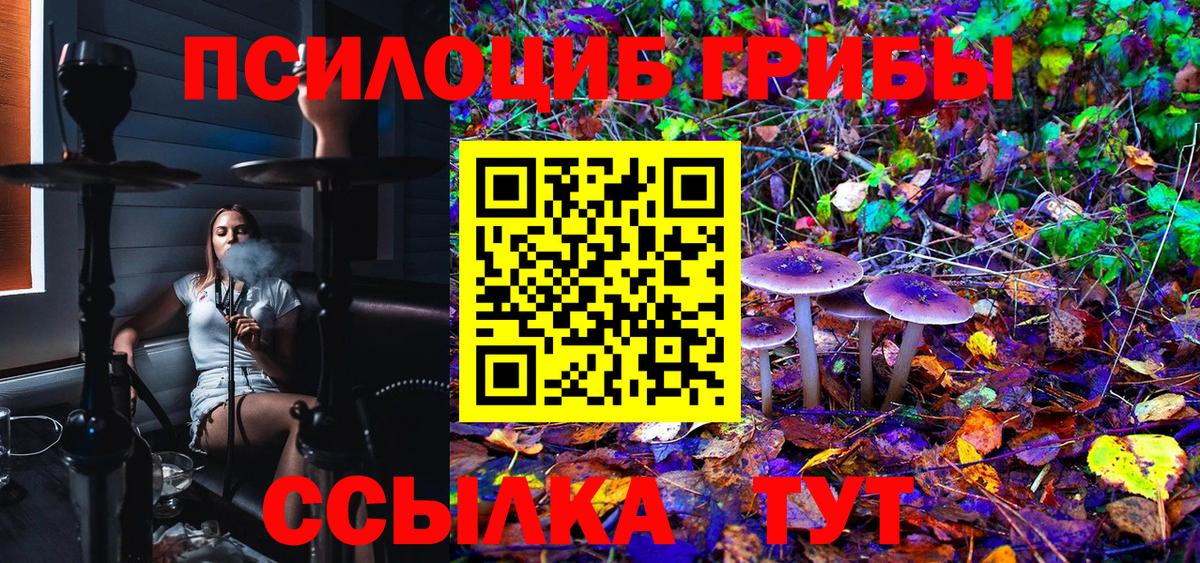Псилоцибиновые грибы Psilocybine cubensis Моршанск