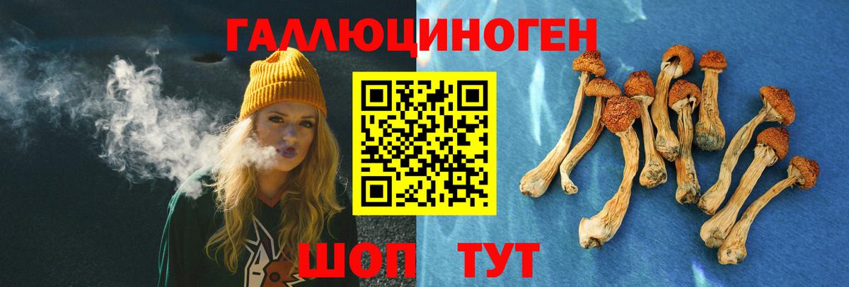 купить наркотик  Псилоцибиновые грибы мицелий  Вход с VPN  Псилоцибиновые грибы Psilocybe  Моршанск 